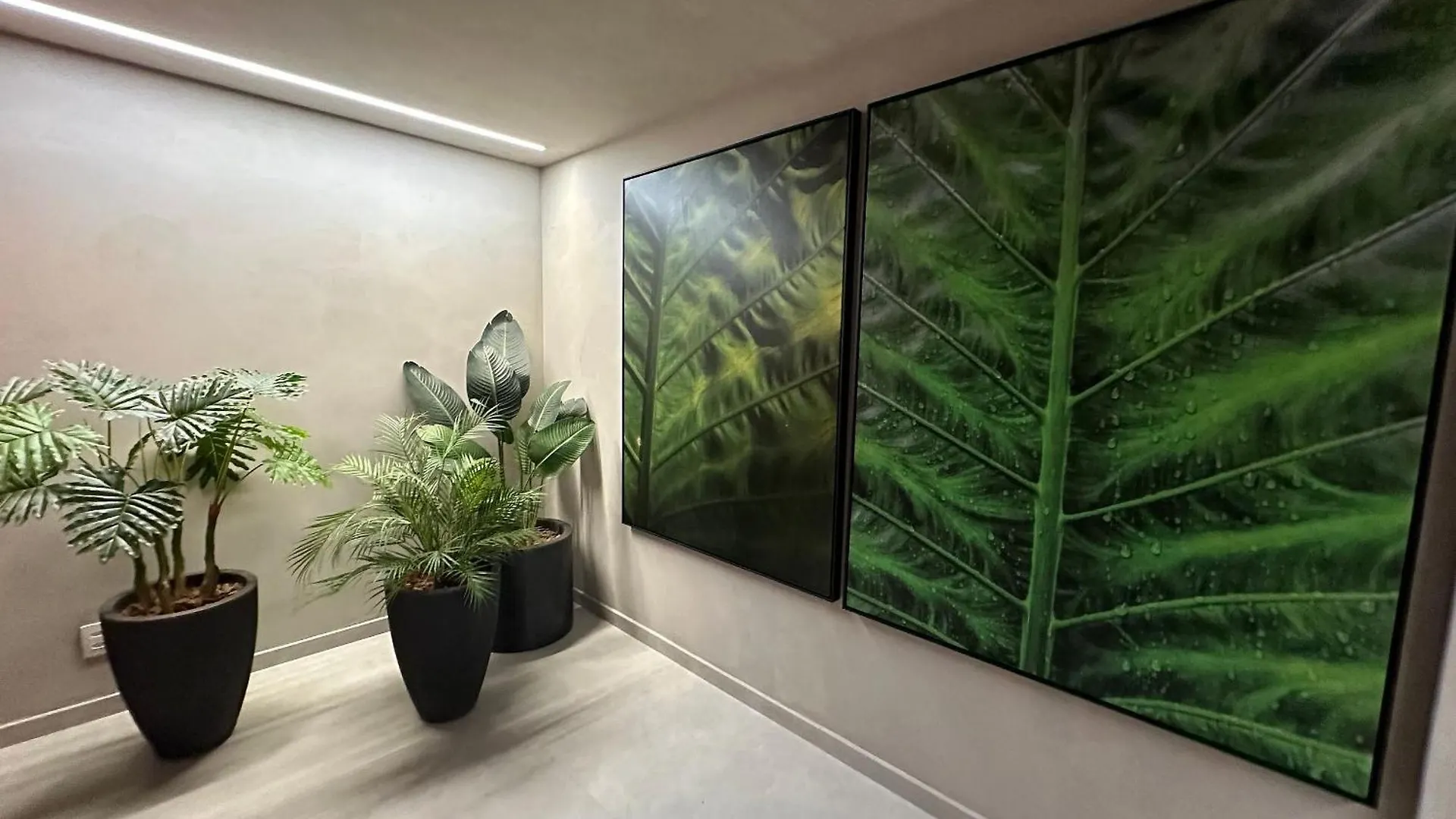 Apartamento Novo Ap Aconchegante No Jardins São Paulo